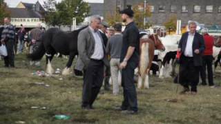 Ballinasloe Horse Fair  RTÉ Republic of Telly [upl. by Norit]