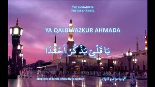 Qaseedah  Ya Qalbi yazkur Ahmada [upl. by Ahsenik]