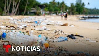 Bajo el Mar de basura el impacto invisible de la contaminación 🗑️ 🌊 [upl. by Bissell]