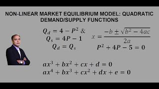 NonLinear Partial Market Equilibrium Model Quadratic DemandSupply Functions [upl. by Iliak]