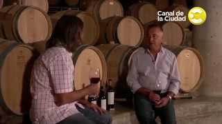 Fabricio Portelli visita Bodegas Salentein en Lado V [upl. by Ffirahs]