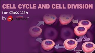 CELL CYCLE AND CELL DIVISION  01 For Class 11th and AIPMT [upl. by Eseerehs103]