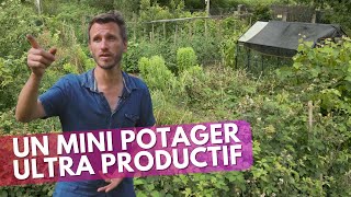 IL CULTIVE un petit POTAGER familial hyper PRODUCTIF [upl. by Bergman]