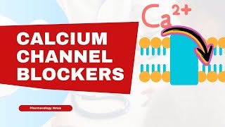 Calcium Channel Blockers Mechanism of Action [upl. by Fraase368]