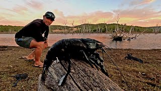 Country DAM Full of MARRON CRAWFISH CRAWDAD CATCH and COOK [upl. by Suilienroc]