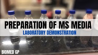 Preparation of MS Media for plant tissue culture Demonstration video [upl. by Anigue438]