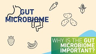 Why is the gut microbiome important [upl. by Yretsym]