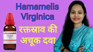 Hamamelis Homeopathic medicine virginica  hemorrhage  Varicoceles  bleeding [upl. by Nolla407]