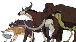 CENOZOIC BEASTS  Animated Size Comparison [upl. by Beard]