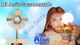 Mi Jesús Sacramentado Canto de Adoración para la Hora Santa [upl. by Ahsehyt]