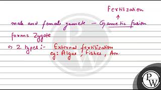 Given below are a few statements related to external fertilization Choose the correct statement [upl. by Naeerb]