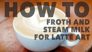 How To Steam And Froth Milk For Latte Art And Cappuccinos  Professional Demo [upl. by Hayikaz466]