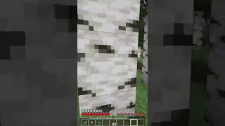 Pov Schizophrenia in minecraft [upl. by Davidde]