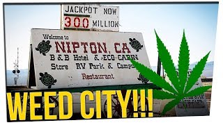 Marijuana Company Buys Entire Town [upl. by Flosser]