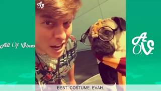 Thomas sanders best vines ever [upl. by Gaiser]