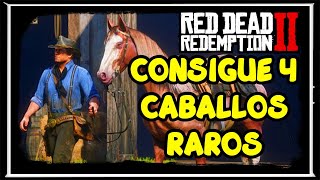 🔥🐎 UBICACIÓN de 4 CABALLOS muy RAROS en RED DEAD REDEMPTION 2 😱 [upl. by Friedly]