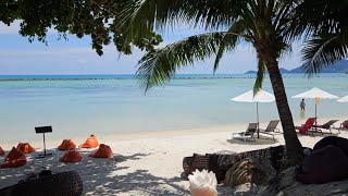 The most popular and best Resorts on Chaweng Beach Koh Samui Thailand [upl. by Krissie]