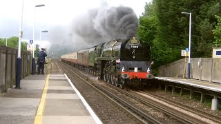 HD 71000 Duke of Gloucester at Shawford 6612 [upl. by Acinnej]