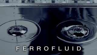 Cymatics Ferrofluid [upl. by Shepperd623]