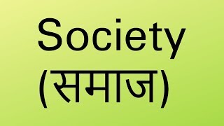 What is Society in Hindi  Sociology [upl. by Ecnarf]