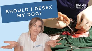 The Pros amp Cons of Neutering Your Dog Why Desex Your Dog [upl. by Ellga]