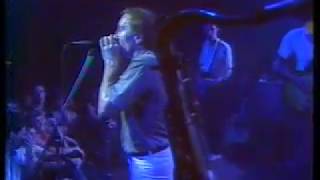 NZ Blues All Stars  Live at Mainstreet 1984 [upl. by Yecad784]