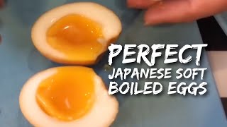 How to Make the Perfect Japanese Soft Boiled Eggs  Ramen Eggs in 2 simple steps [upl. by Aneeles]