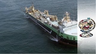 How Australia Impounded the Worlds SecondLargest Fishing Trawler [upl. by Kyd]