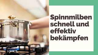 5 schnelle und effektive Methoden zum Spinnmilben bekämpfen [upl. by Aiceila39]