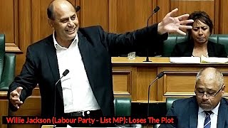 The NZ Public Are Being Patronised By Idiot MPs [upl. by Gnilrad]