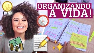 COMO ORGANIZO MINHA VIDA  agenda rotina planner postit metas  por Ana Lídia Lopes [upl. by Arline77]