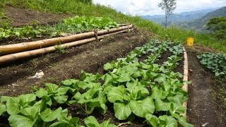 Características de la Agroecologia una Agricultura Más Sana  TvAgro por Juan Gonzalo Angel [upl. by Gilberto]