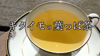 菊芋の葉っぱ茶 Jerusalem artichoke leaf tea [upl. by Llabmik]