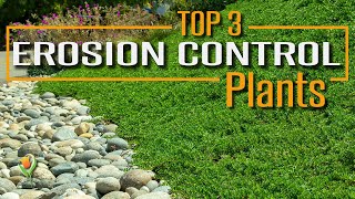 Two simple Methods for Erosion Control [upl. by Fusco]