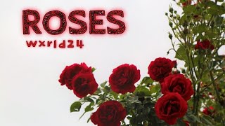 Wxrld24  ROSES Juice WRLD Cover [upl. by Krissie]