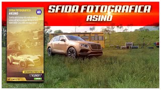 Forza Horizon 5  Sfida Fotografica Asino  Playlist del festival Estate Serie 21 [upl. by Barnet]