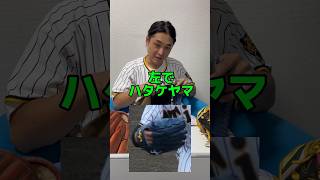 【グローブで選手当て！】野球グローブプロ野球野球道具阪神タイガース甲子園高校野球ボールバットセリーグミズノZETTSSKハタケヤマ久保田スラッガー超能力NPBMLB [upl. by Orling]