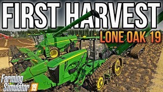 LONE OAK 19  First Harvest  Farming Simulator 19 [upl. by Roz]