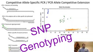 SNP genotyping Plants Competitive AlleleSpecific PCR Genotyping [upl. by Latrice]