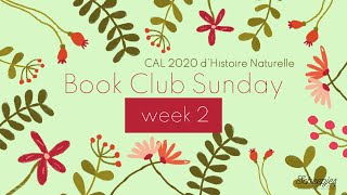 Scheepjes CAL 2020  dHistoire Naturelle  Book Club Sunday  Week 2 [upl. by Thirza]