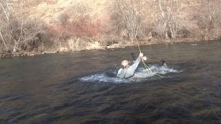 Fishing the Imnaha River in Oregon for Steelhead [upl. by Aprile]