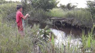 Mancing Ikan Korop Ikan Betok ikan Betik Bersama Bocil Strake terus bosss KANG STKU [upl. by Aerbua673]