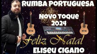 RUMBA PORTUGUESA 2024 NOVO TOQUE ELISEU CIGANO [upl. by Gilbertson132]