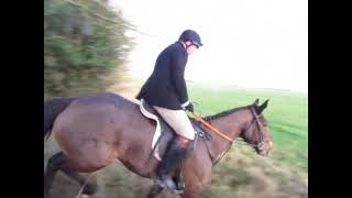 Fox hunting in Ireland with the Suir Vale Harriers Hunt Rahaelty Jan 2019 [upl. by Akiner]