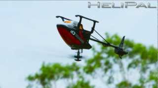 HeliPalcom  Walkera HM Master CP Helicopter Outdoor 3D Flight [upl. by Redneval71]