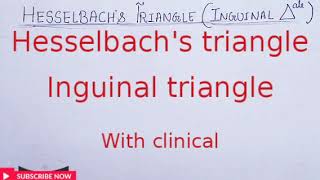 Hesselbachs triangle or inguinal triangle with clinical [upl. by Shea508]