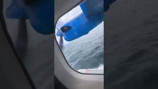 seaplane travel maldives ytshorts [upl. by Lennahs]