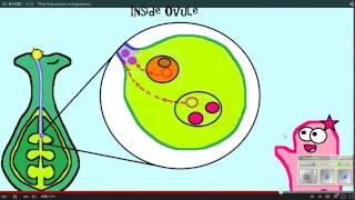 Plant Reproduction Amoeba Sisters WS 12 11 14 [upl. by Ainival]