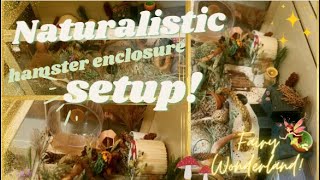 NATURALISTIC HAMSTER CAGE SETUP NITEANGEL BIGGER WORLD Natural Fairy Forest [upl. by Starlin555]