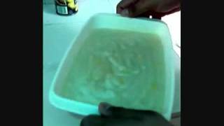 Maja Blanca Recipe  How To Make This Filipino Dessert [upl. by Pilloff398]